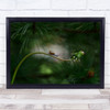 Snail Flower Green Macro Bokeh Shell Forest Nook Wall Art Print