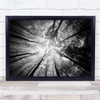 Tree Forest Landscape Sky Black White Converging Wall Art Print