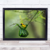 Bird Wildlife Africa Travel Tanzania Birds Nest Wall Art Print