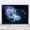 Flowers Soft Bokeh Blossom snowdrops Macro Blue Wall Art Print