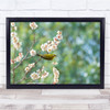 Spring Blossoms Flower Bird Bokeh Branch nature Wall Art Print