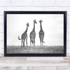 Africa Giraffe Wild Nature Animals Black White Wall Art Print