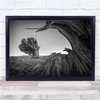 Landscape Black & White Tree Trunks in Dessert Wall Art Print