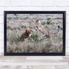 Wildlife Cheetah Safari Fighting Grass Animals Wall Art Print