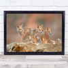 Foxes Wildlife Nature Animal Group Young Cute Wall Art Print