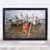 Pelicans Lake Wild Pelican Bird Wildlife Beak Wall Art Print