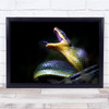 Snakes Animals Attack Strike Tongue Indonesia Wall Art Print