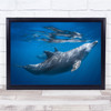 Dolphin Bottlenose Wildlife Ocean Sea Lagoon Wall Art Print Dolphin Bottlenose Wildlife Ocean Sea Lagoon Wall Art Print