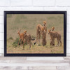 Hunting Training Leopards deer prey wildlife Wall Art Print