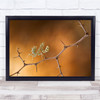 Mantis Praying Thorn Autumn Fall Twig Branch Wall Art Print