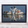 Pelicans Birds Kerkini Animals Fishing Scene Wall Art Print