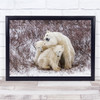 polar bear Cubs Wildlife Cute Nature Animals Wall Art Print