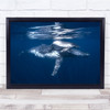 Underwater Blue Surface Water Whale Humpback Wall Art Print