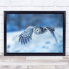 Wildlife Nature Animal Bird Owl Bokeh Motion Wall Art Print