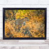 Leopard Feline Wildlife Nature autumn chase Wall Art Print