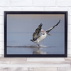 Sliding Pelican landing lake wings flapping Wall Art Print