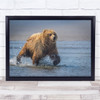 Bear Grizzly Running Water Wildlife nature Wall Art Print