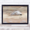 bird white flying motion action shot wings Wall Art Print