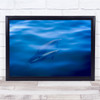 Dolphins Swimming Blue Couple Pair Seaview Wall Art Print