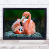 Flamingo Caribbean Birds Animals Neck Beak Wall Art Print