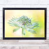 Flowers Close-Up Fresh Purity Summer Macro Wall Art Print