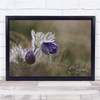 Macro Flower Delicate Spring Floral Purple Wall Art Print