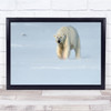 Polar Bears Winter Wildlife Nature Animals Wall Art Print