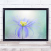 Anemone Flower Bloom Single-Flower Spring Wall Art Print