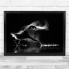 Bird Backlight Movement Heron Grey Herons Wall Art Print