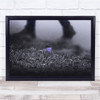 black and white Winter flower lone purple Wall Art Print