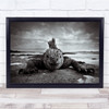 Punker Giant Lizard close up mohawk beach Wall Art Print