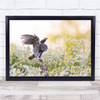 Wildlife Animals Nature Bird Owl Wildlife Wall Art Print