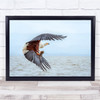 African Fish Eagle in flight action sea Wall Art Print