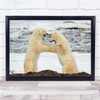 Canada polar Bears Duel Challenge Fight Wall Art Print