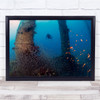 Underwater sea scuba diving marine fish Wall Art Print