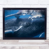 Sea Humpback Whale Underwater Wildlife Wall Art Print