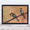 Bee-Eater Birds Branch Wildlife Nature Wall Art Print