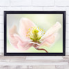 Flower Bloom pink flowers petals macro Wall Art Print