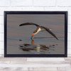 Skimmer Fishing bird flying reflection Wall Art Print