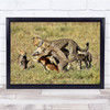 Wildlife Nature Animals Feline Hunting Wall Art Print