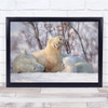 Alaska Polar Bears Winter nature play Wall Art Print