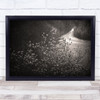 Flowers Road black and white close up Wall Art Print