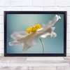 Macro Flower Summer Soft Bokeh Autumn Wall Art Print