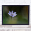 Macro Meadow Garden Flower Bokeh Blur Wall Art Print