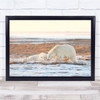 Wildlife Animal Alaska Cub Polar Bear Wall Art Print