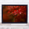 Autumn Colour Raindrop Leaf Fall Red Wall Art Print