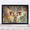 Greater Kudu Antlers Curled Wildlife Wall Art Print