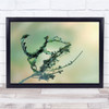 Impersonate Twig Insect Green Nature Wall Art Print