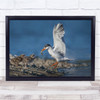 Incoming bird with fish wings spread Wall Art Print