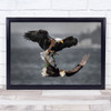 Eagles in flight action fight wings Wall Art Print